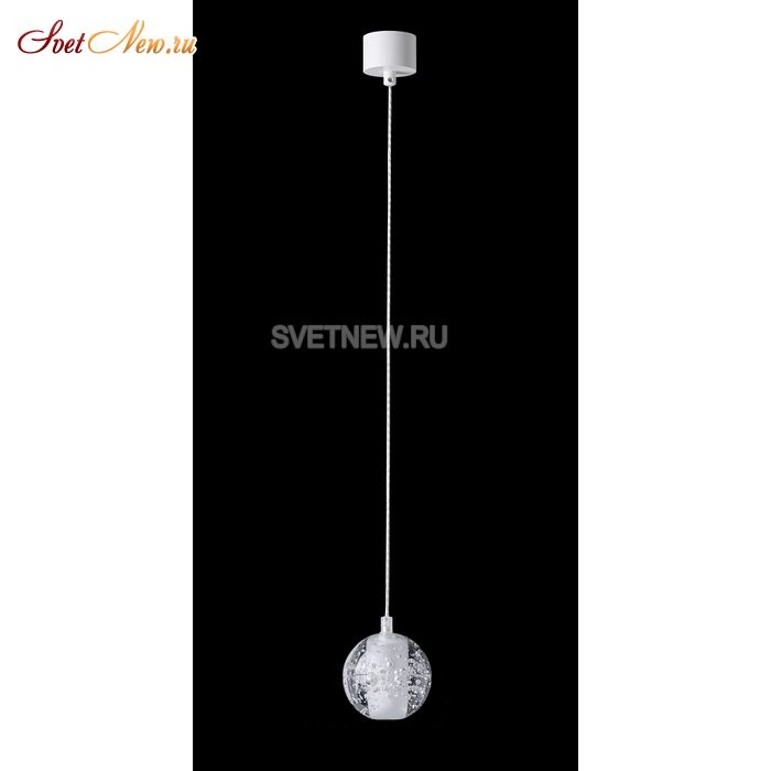 GASPAR SP1 WHITE
