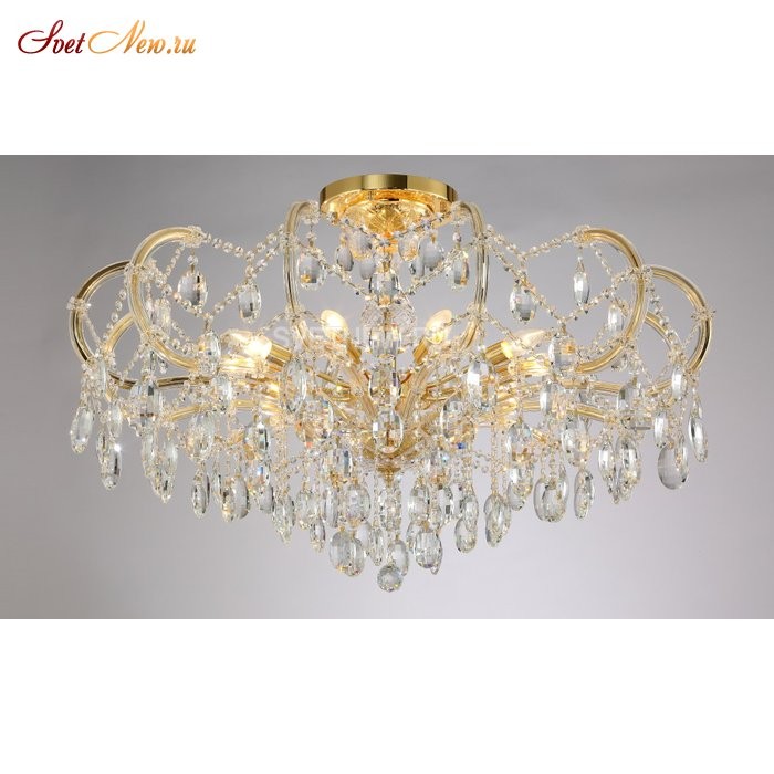 HOLLYWOOD SP-PL10 GOLD D1000