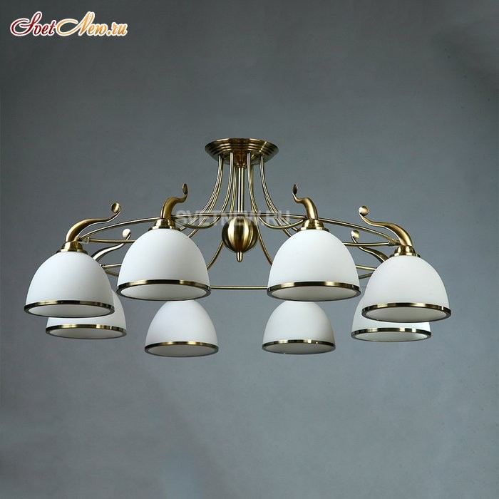 MA02401CB/008 Br