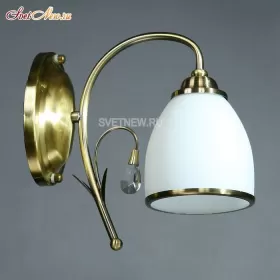 MA02640W/001 Br