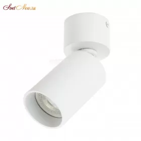 DK2029-WH