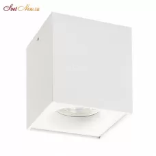 DK2033-WH
