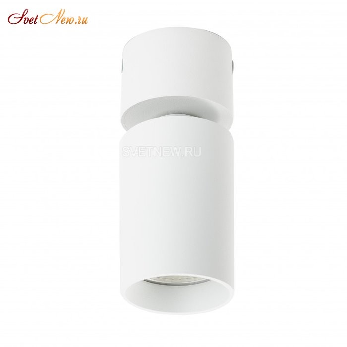 DK2029-WH