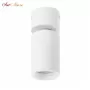 DK2029-WH