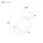 DK2029-WH