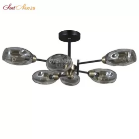 SF4023/6C-BK-AB