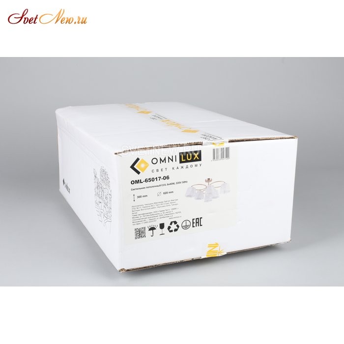 OML-65017-06