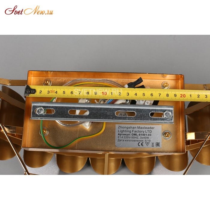 OML-81401-03