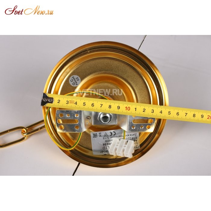 OML-81503-06