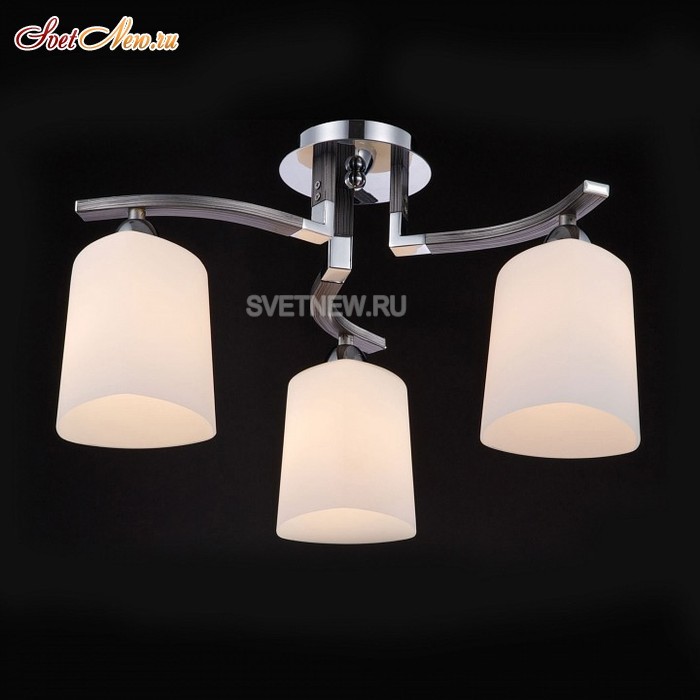 FR5454CL-03CH