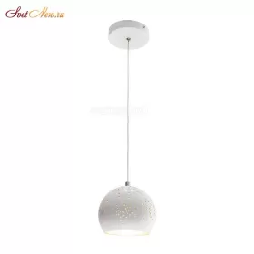 CL504100