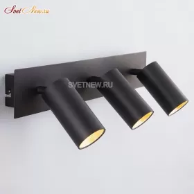 20066/3 LED черный / золото