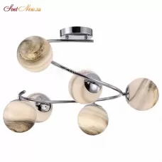 FR5013PL-06CH