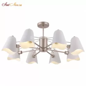 FR5037PL-08S