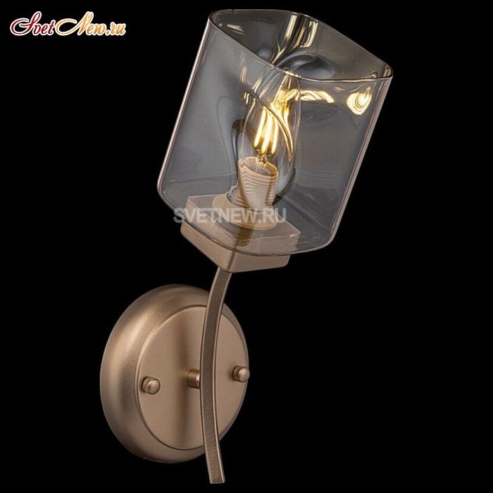 FR5095WL-01G