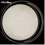 81038/5C