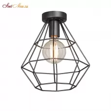 V4399-1/1PL