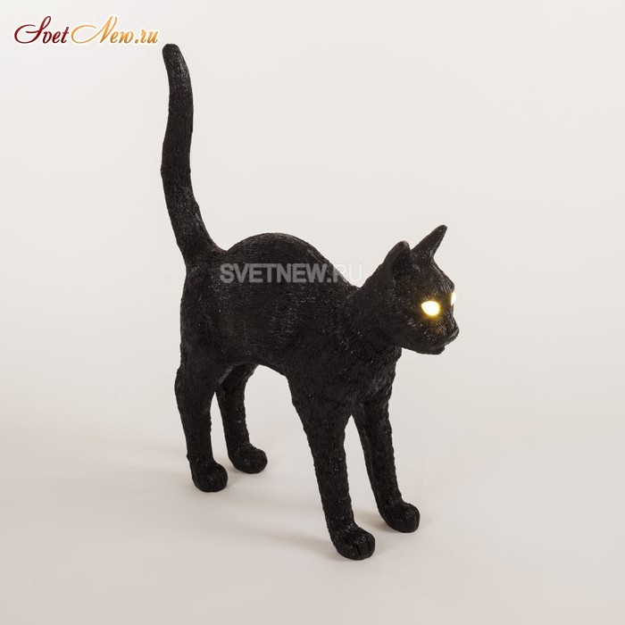 Jobby The Cat Black