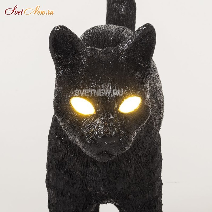 Jobby The Cat Black