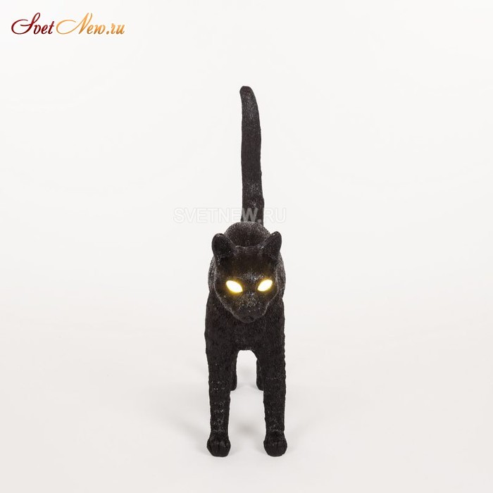 Jobby The Cat Black