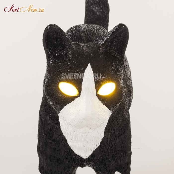 Jobby The Cat Black and White