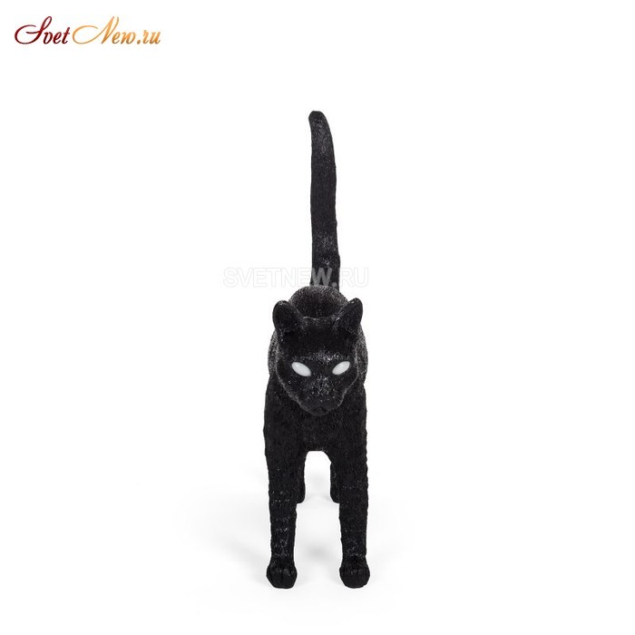 Jobby The Cat Black