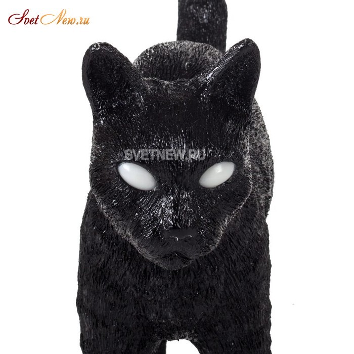 Jobby The Cat Black