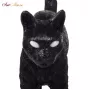 Jobby The Cat Black
