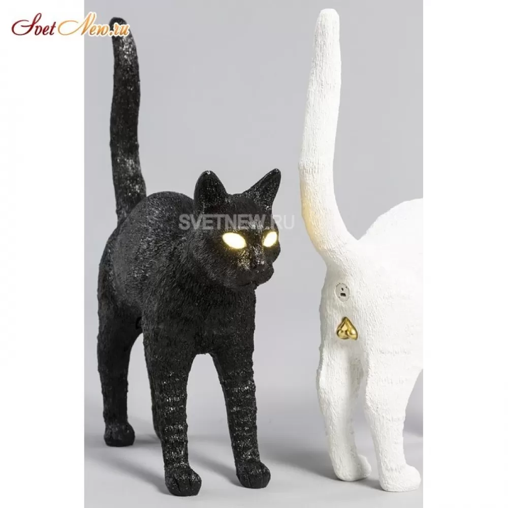 Jobby the cat best sale