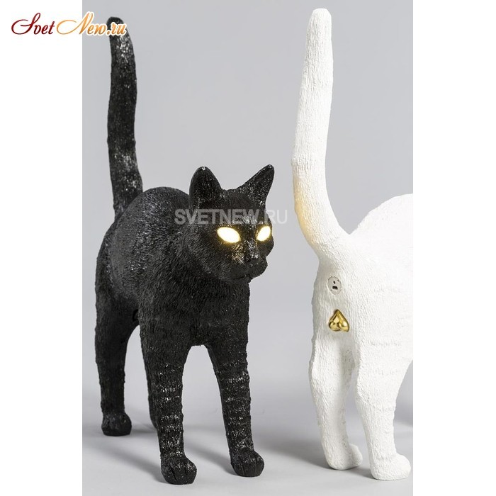 Jobby The Cat Black