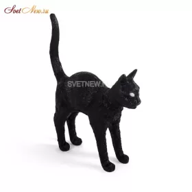 Jobby The Cat Black