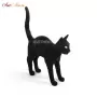 Jobby The Cat Black