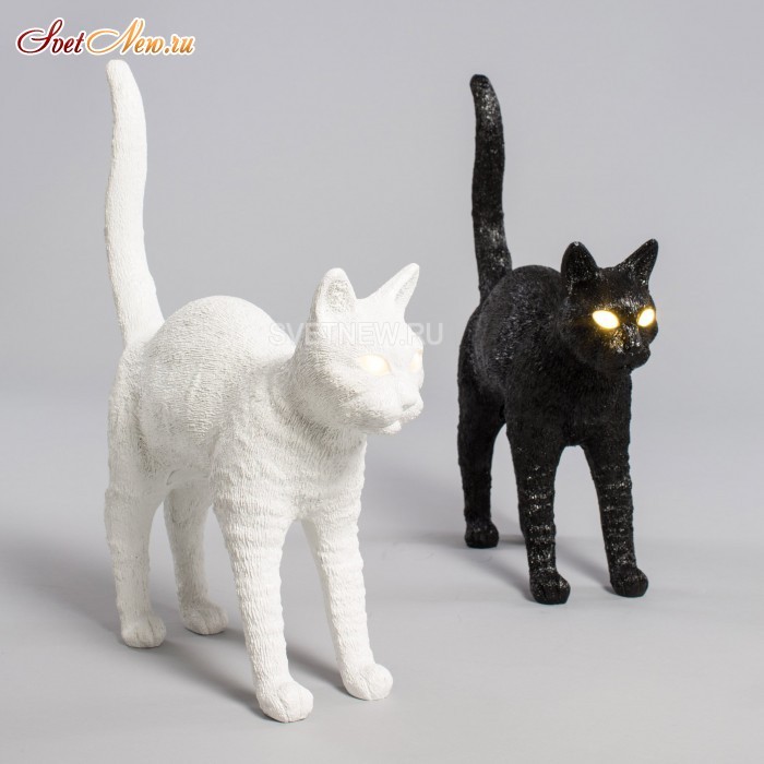 Jobby The Cat Black