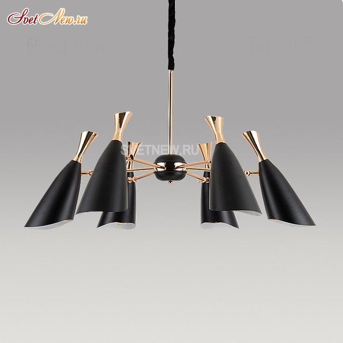 Duke 6 black/gold