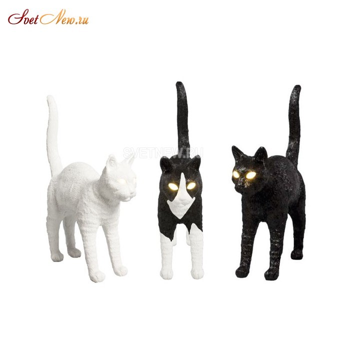 Jobby The Cat Black