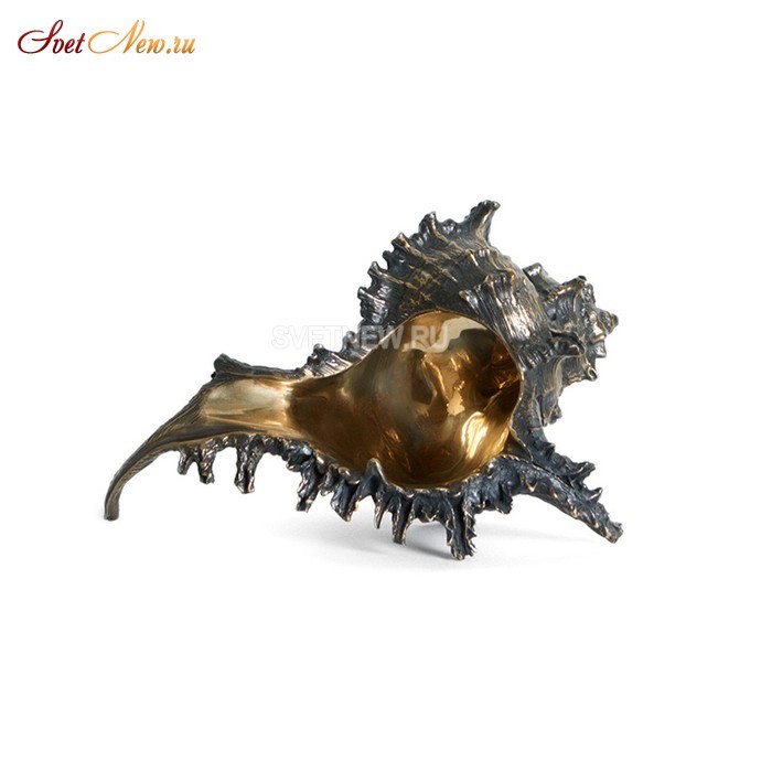 Chicoreus