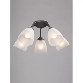 V3737-2/5PL