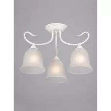 V3748-0/3PL