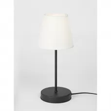 V3816-1/1L
