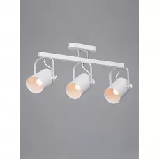 V5254/3PL