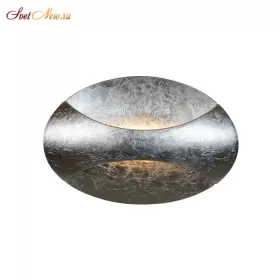 ZD7151-6W Silver