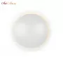 ZD8102-18W WH