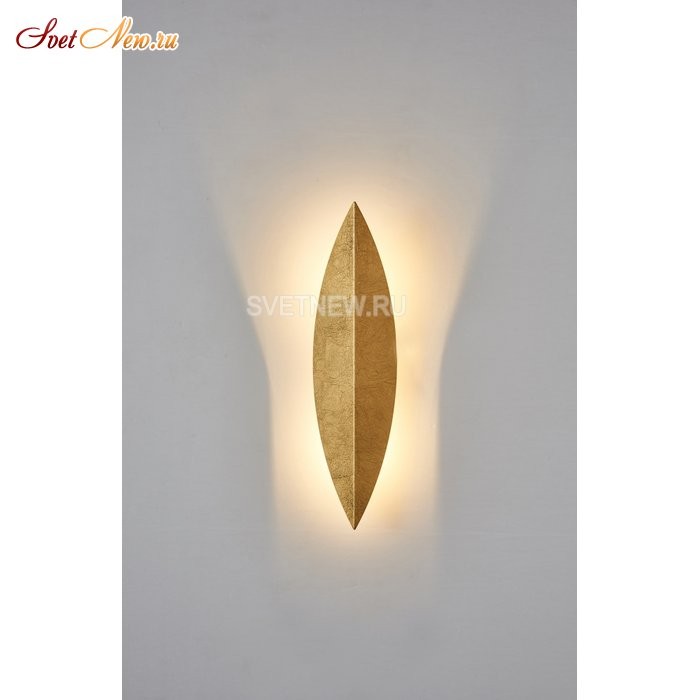 CLT 029W400 GO