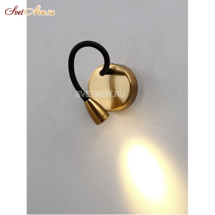 CLT 212W BS