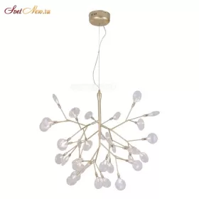 EVITA SP36 GOLD/TRANSPARENT