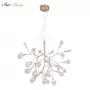 EVITA SP36 GOLD/TRANSPARENT