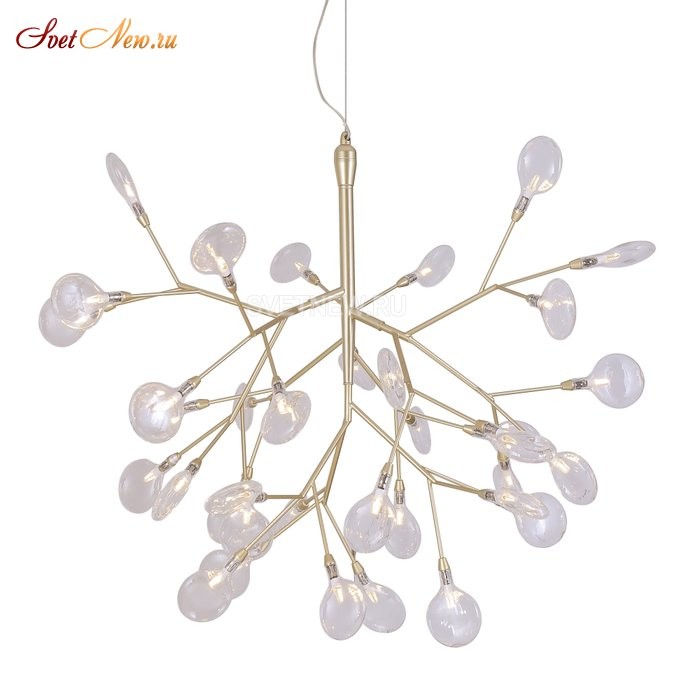 EVITA SP36 GOLD/TRANSPARENT