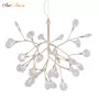 EVITA SP36 GOLD/TRANSPARENT