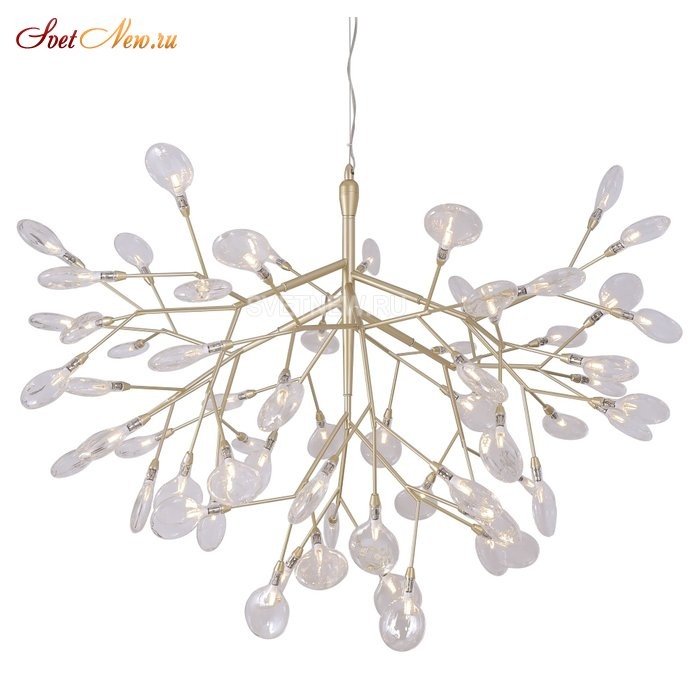 EVITA SP63 GOLD/TRANSPARENT