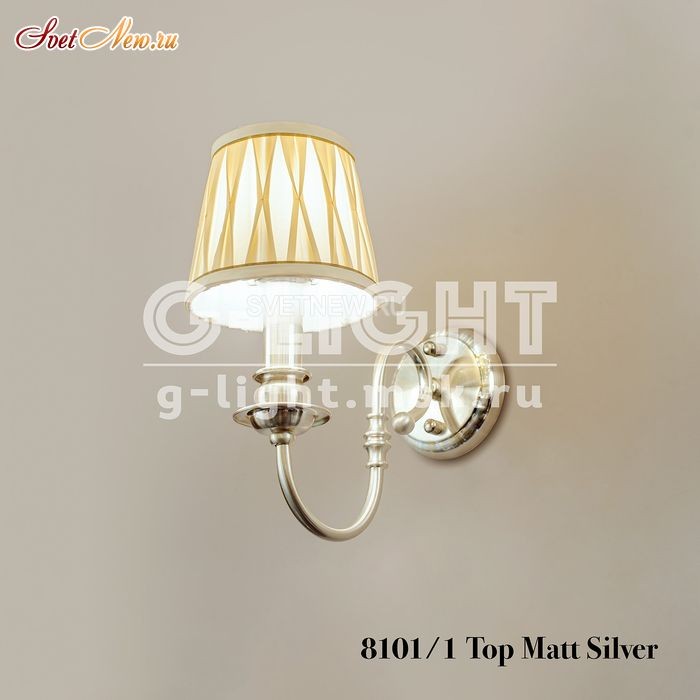 8101/1 Top Matt Silver